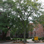 Schulhof Properties - Marquette University- The Patrician